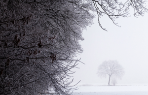 S01E10 – A Long December