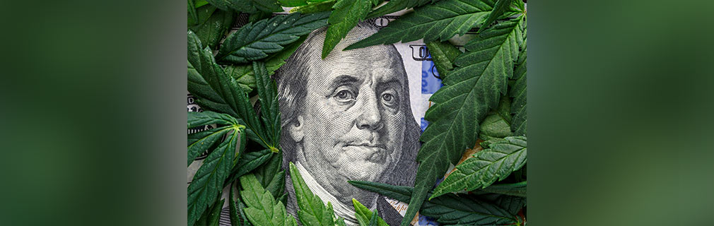 Investir em maconha? 2021 pode ser o ano das ações ligadas à indústria da cannabis. Saiba quais são as 3 apostas mais quentes do momento segundo especialista